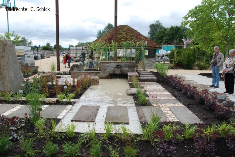 DSC_5572 - Kopie.JPG